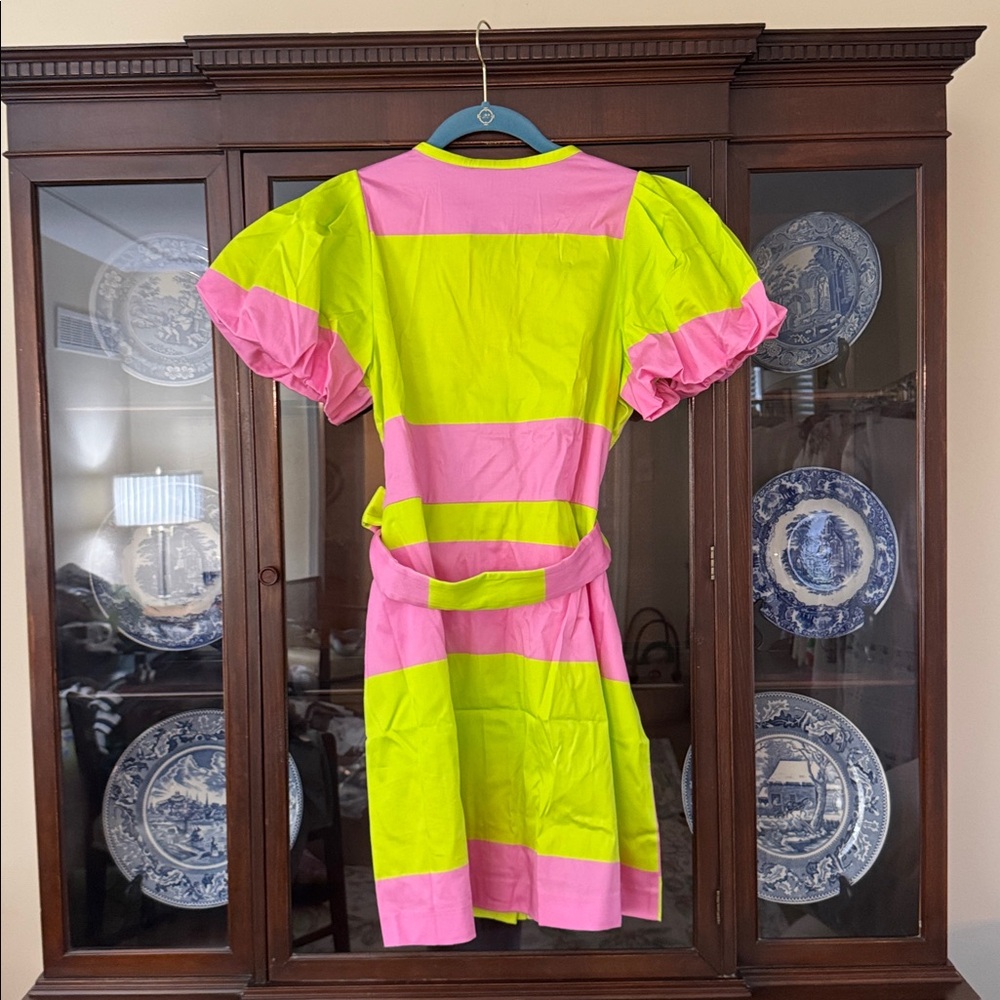 Alden Adair Neon Pink & Lime Stripe Mini Dress with Belt - Picture 4 of 5